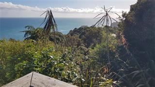 Photo of Tour Aotearoa 2023: rider Ride to Remember