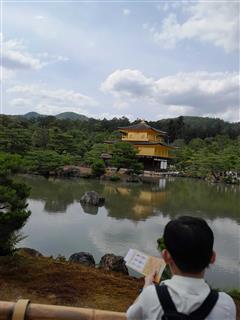 Photo of Operatunity Japan: participant Bev Davidson, the Golden Pavilion